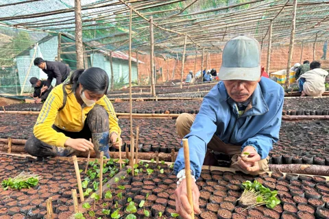 Quảng Ngãi: 300 người làm bầu đất, giúp đồng bào Xơ Đăng phát triển cà phê đặc sản
