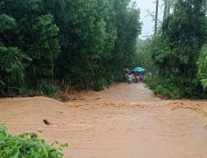 Hình ảnh 4