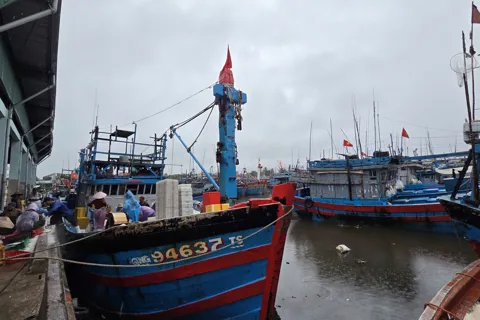 Quảng Ngãi: tàu cá hối hả vào bờ tránh bão Bualoi