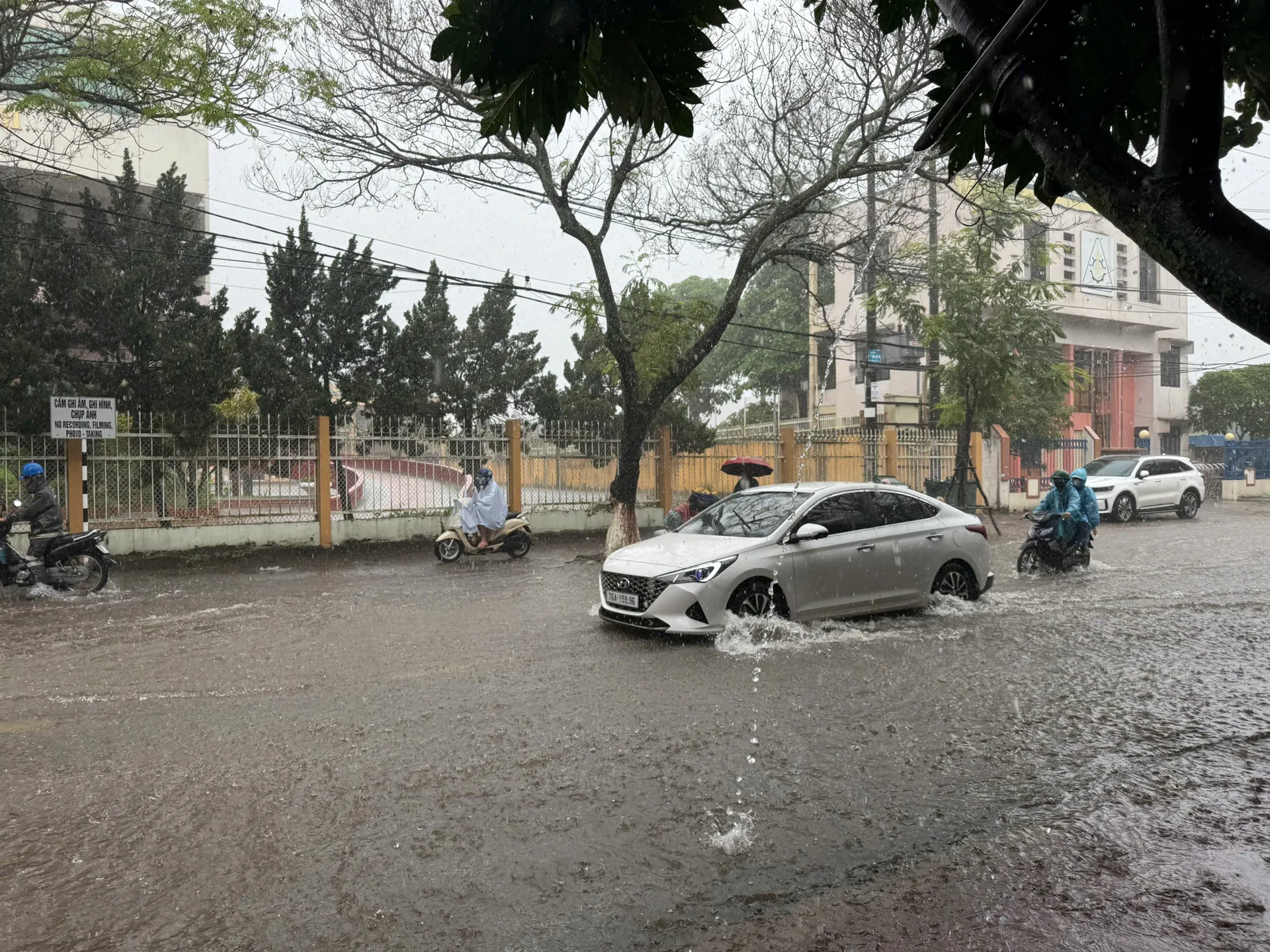 Hình ảnh 1