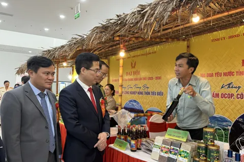 Quảng Ngãi nâng tầm chất lượng sản phẩm OCOP