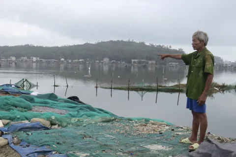 Bão qua, muối tan - diêm dân Sa Huỳnh bật khóc giữa đồng