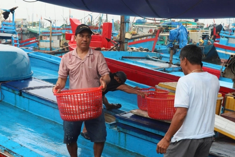 Ngư dân Quảng Ngãi hối hả đưa tàu vào bờ tránh bão số 5