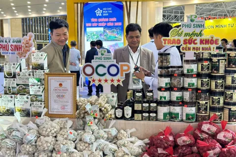 Quảng Ngãi mở rộng thị trường trong nước và vươn ra quốc tế cho sản phẩm OCOP