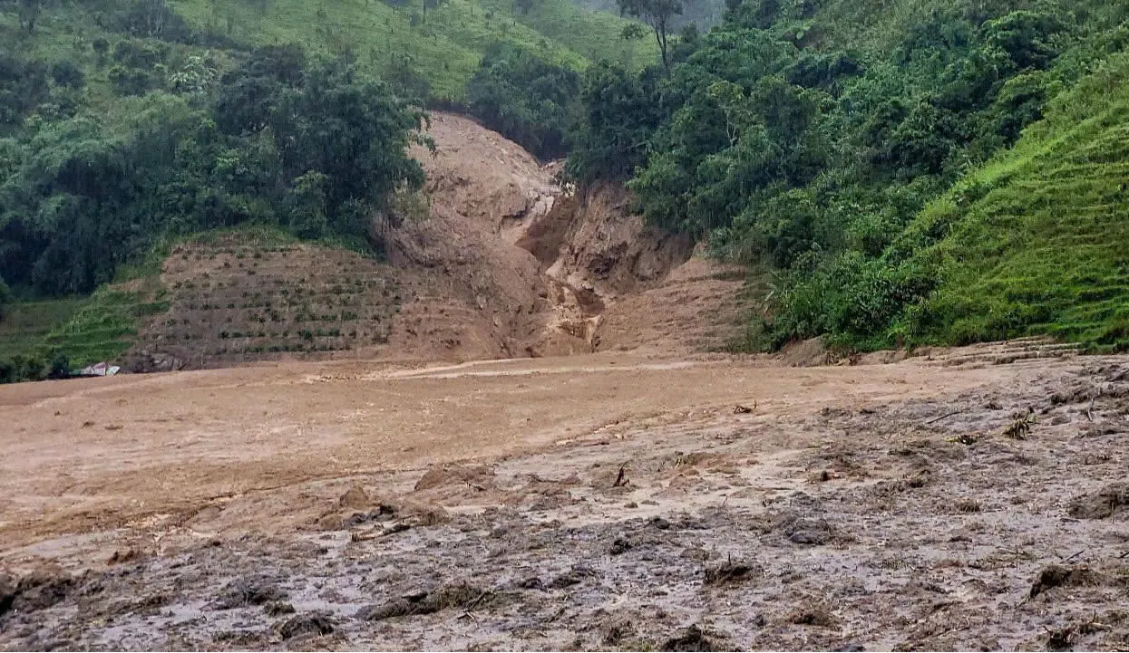 Hình ảnh 1