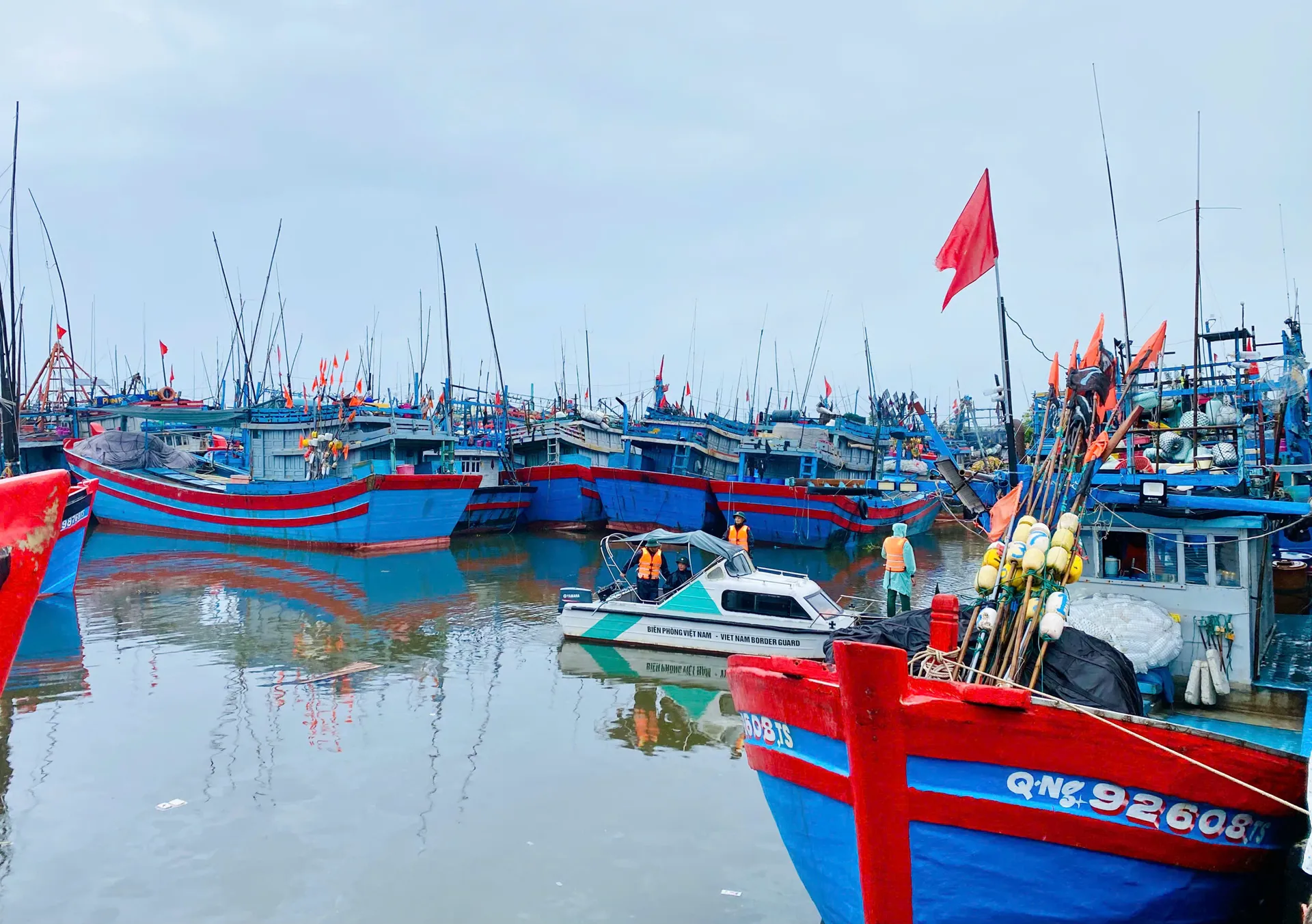 Hình ảnh 4