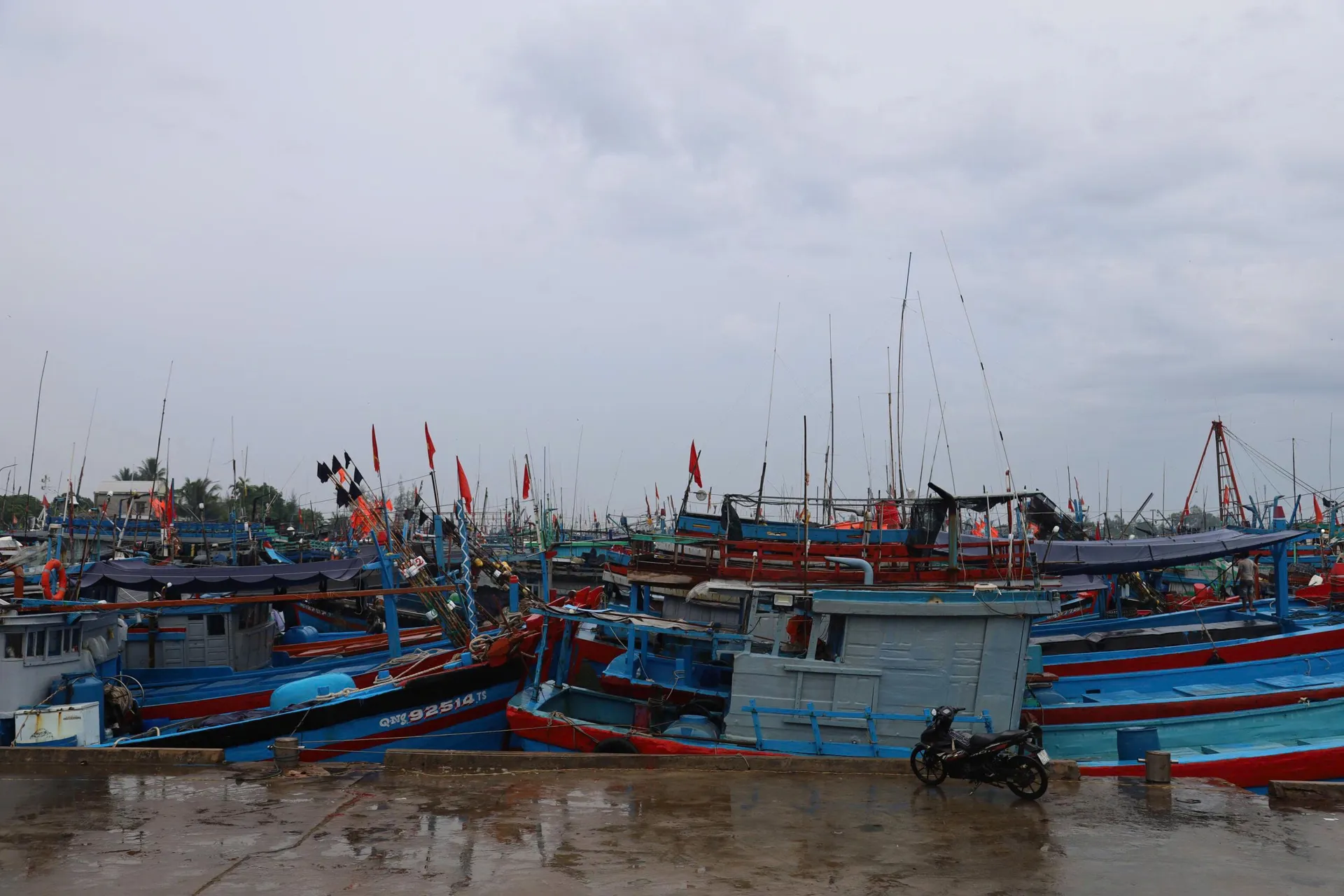 Hình ảnh 1