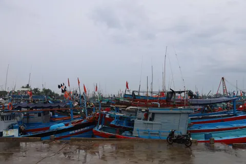Quảng Ngãi chủ động ứng phó siêu bão Ragasa