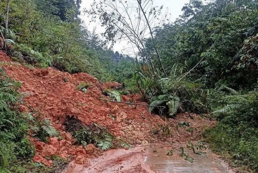 Hình ảnh 1