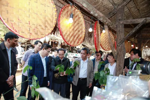 Quảng Ngãi: Phiên chợ nông sản, dược liệu Măng Đen kết nối du lịch xanh