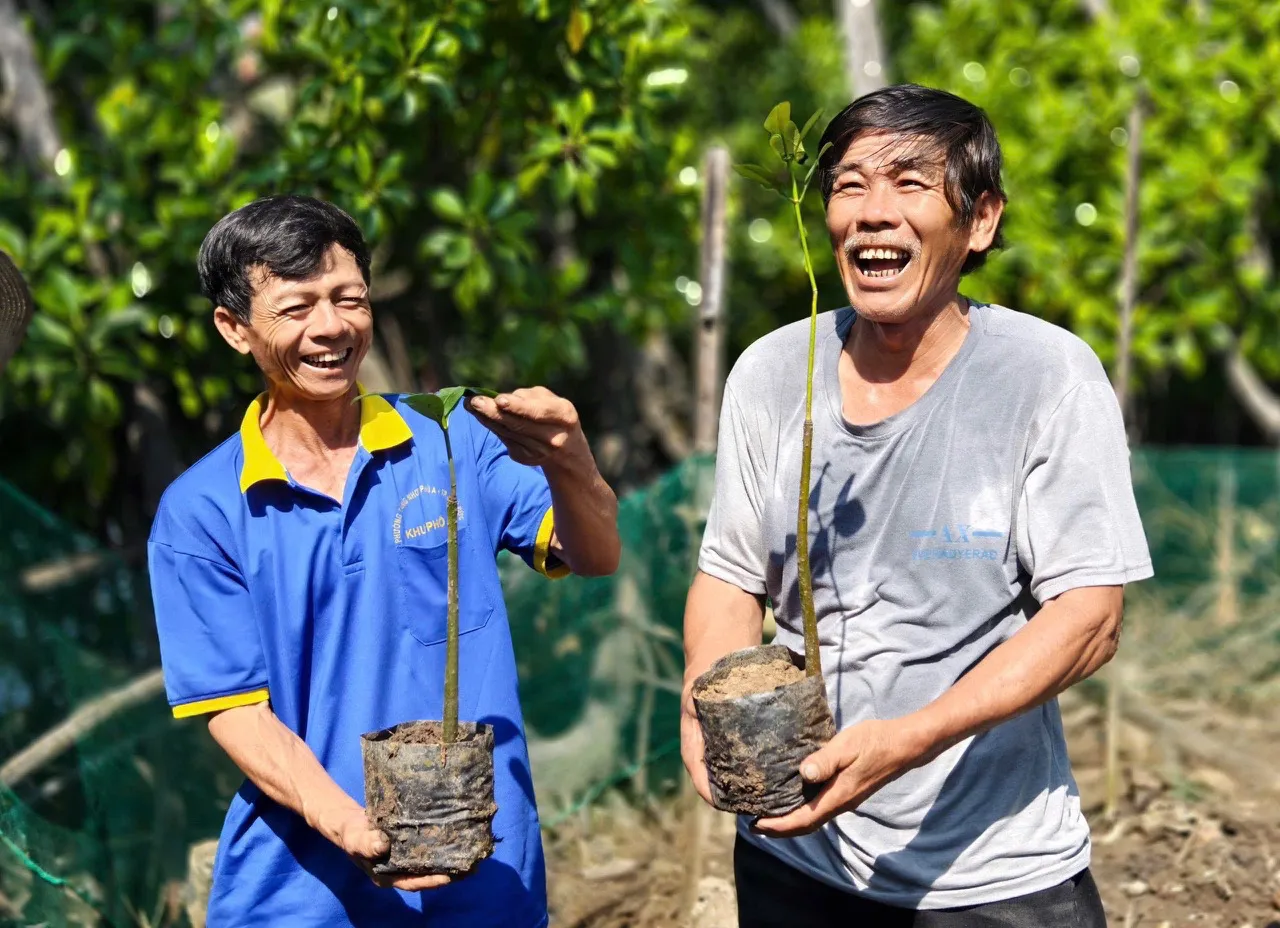 Quảng Ngãi: phủ xanh đầm ngập mặn