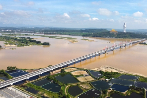 Ngắm những cung đường hướng biển đẹp nhất của Quảng Ngãi