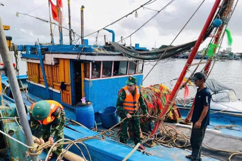 Quảng Ngãi: ngư dân hối hả đưa tàu vào bờ, sẵn sàng ứng phó bão Kalmaegi
