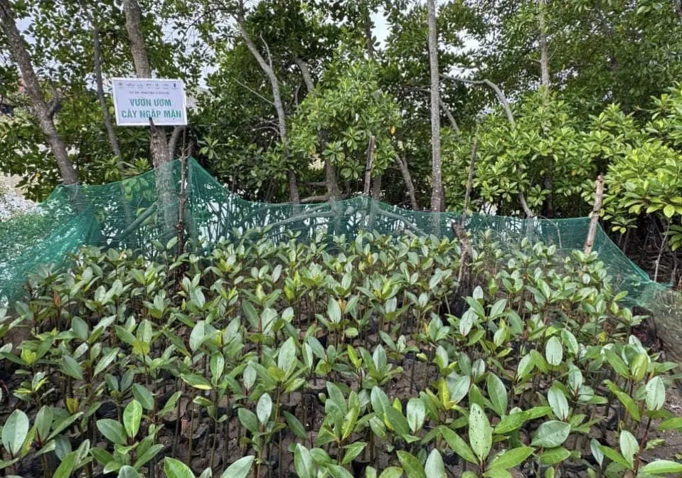 Hình ảnh 2