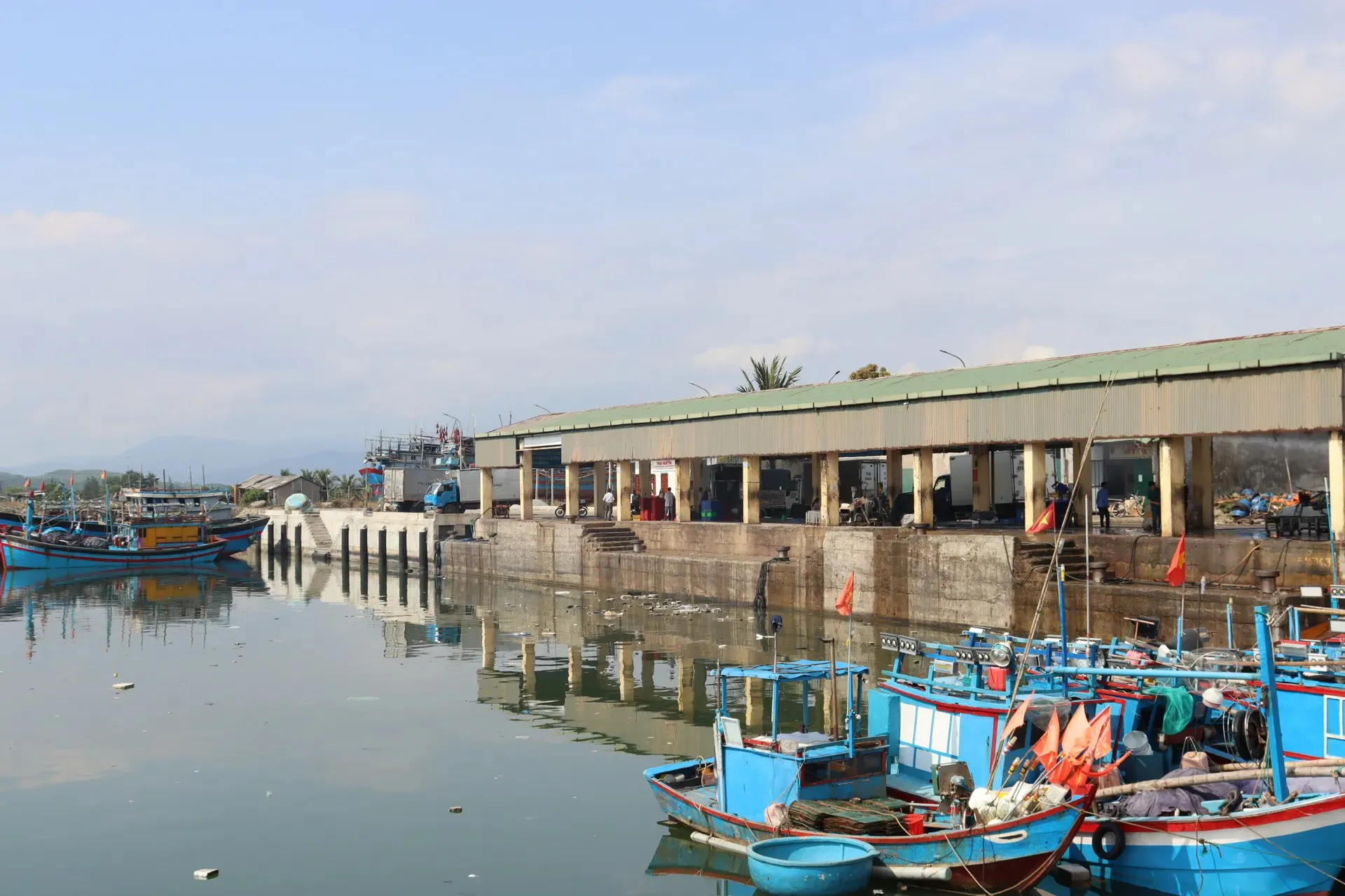 Hình ảnh 2