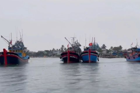 Quảng Ngãi khẩn trương kêu gọi tàu thuyền tránh trú bão