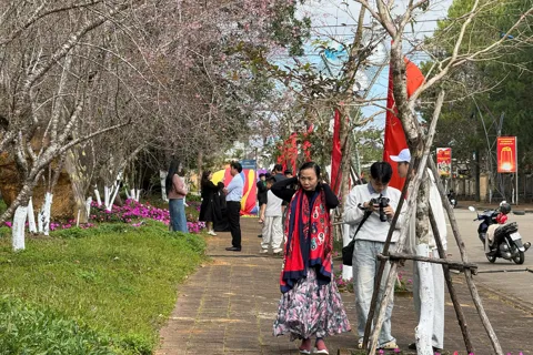 Du khách tấp nập đổ về Măng Đen dịp Tết Dương lịch 2026