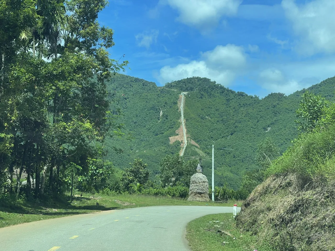 Hình ảnh 3