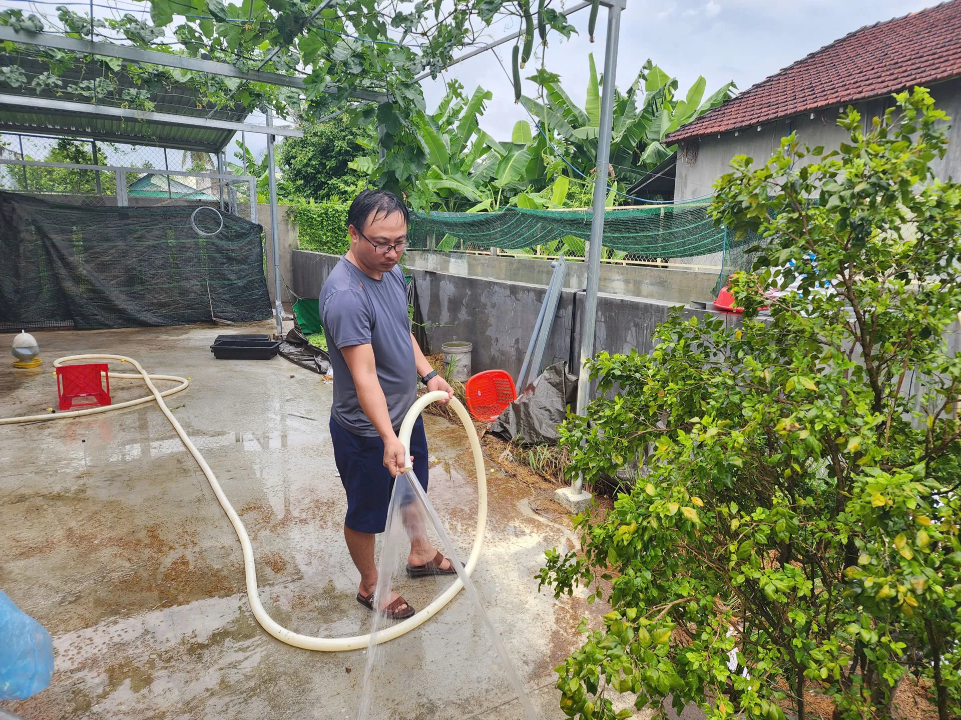 Hình ảnh 1