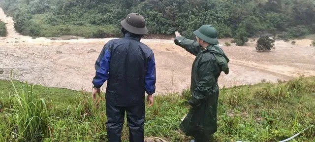 Hình ảnh 3
