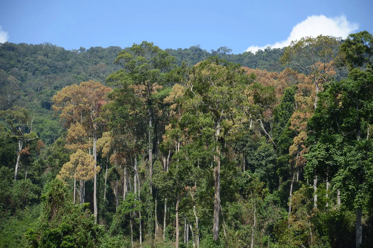 Hình ảnh 1