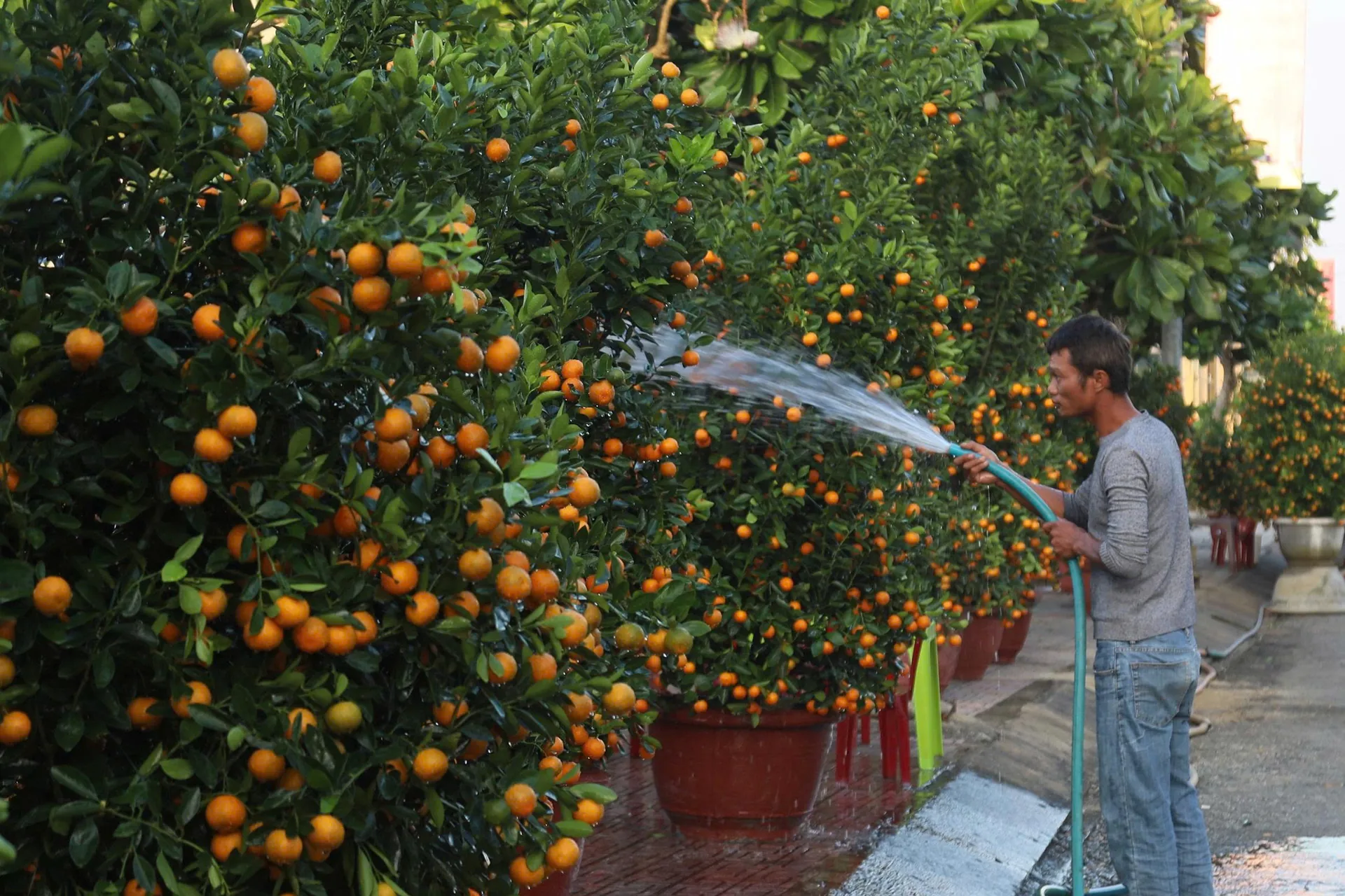 Hàng hóa Tết vượt sóng ra Lý Sơn