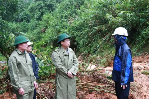 Quảng Ngãi: tập trung khắc phục sạt lở giao thông, đảm bảo an toàn cho người dân