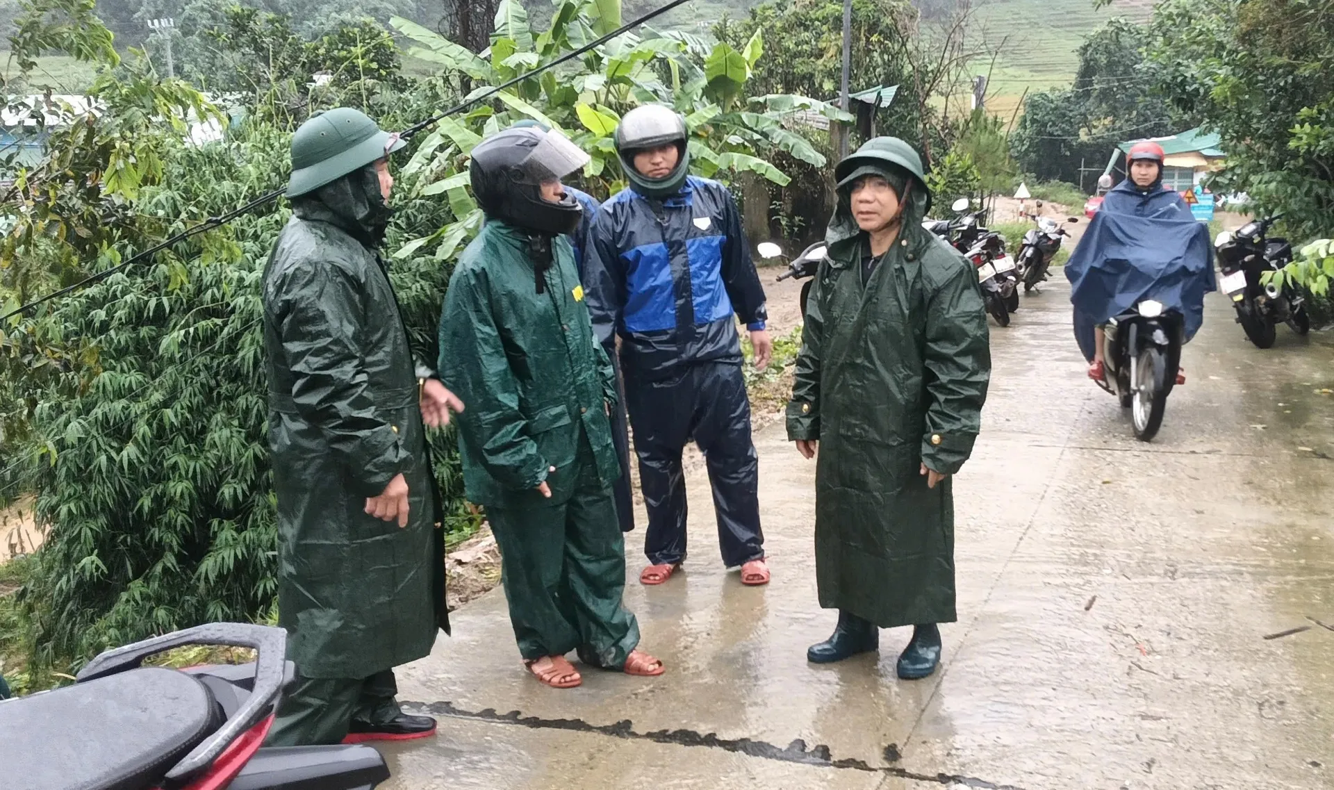 Hình ảnh 2