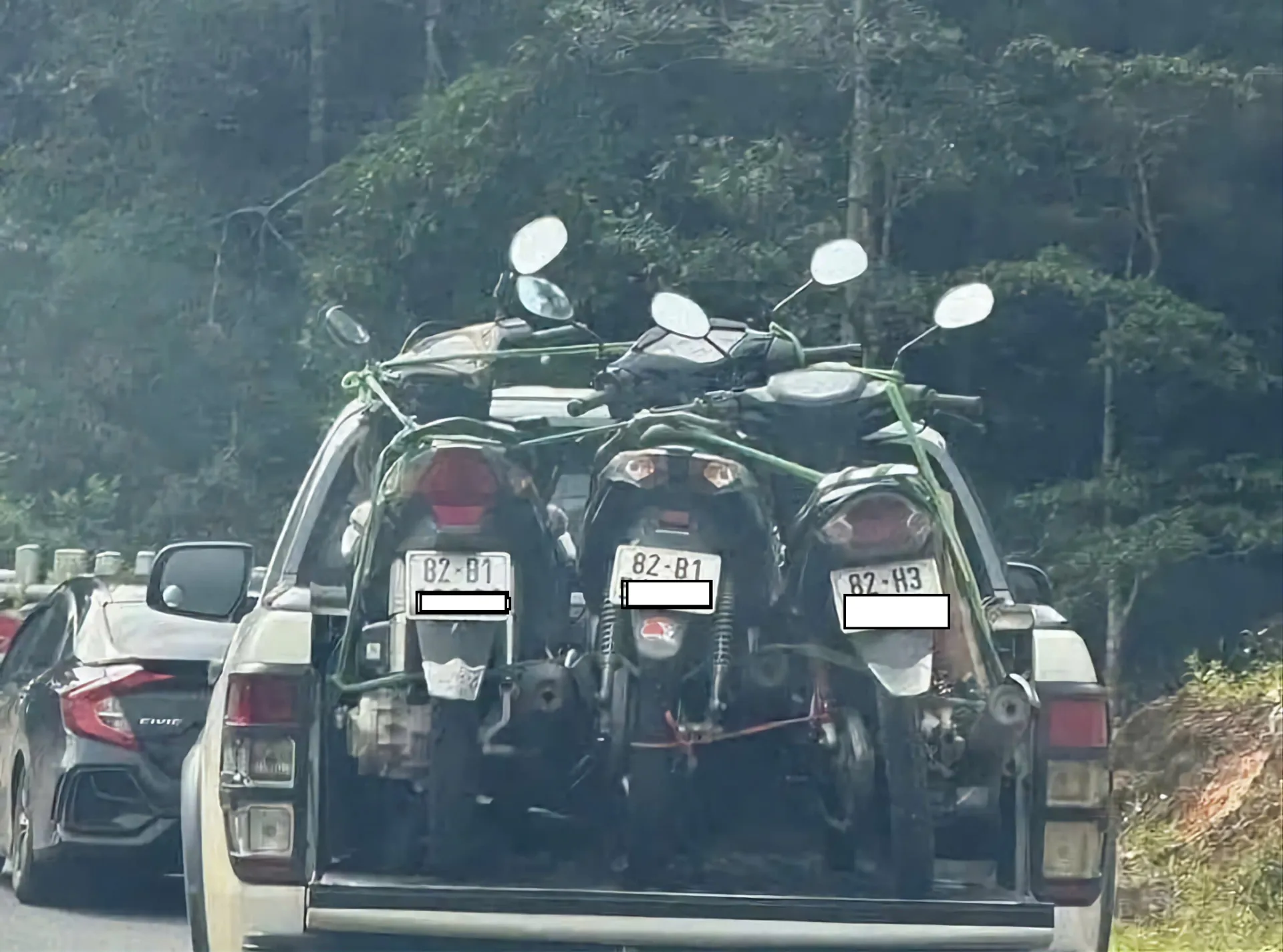 Hình ảnh 5