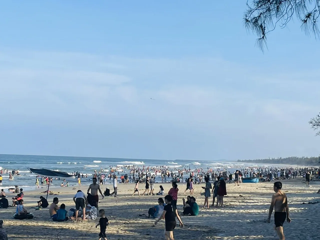 Hình ảnh 2