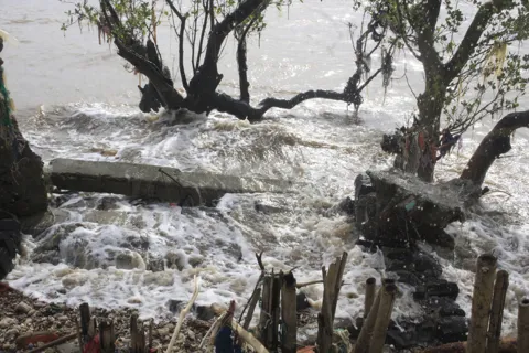 Quảng Ngãi: kè người dân xây giữ đất "thất thủ" trước triều cường