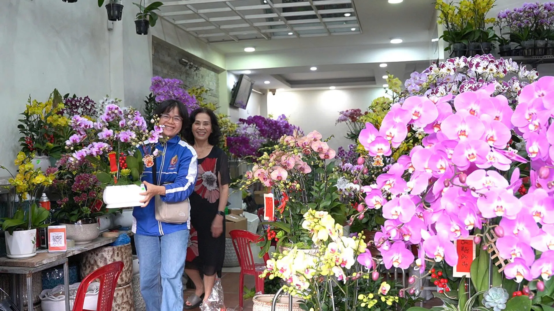 Quảng Ngãi: hoa lan đắt hàng dịp giáp Tết