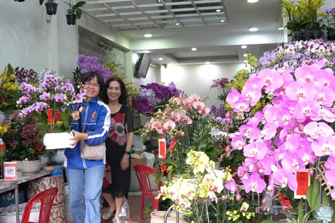 Quảng Ngãi: hoa lan đắt hàng dịp giáp Tết