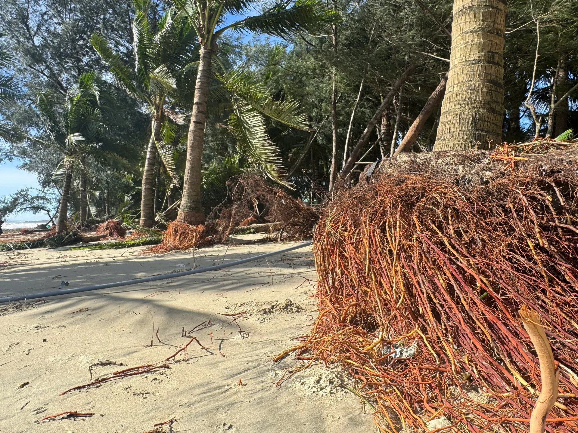 Quảng Ngãi: bãi biển Mỹ Khê bị triều cường “gặm nát”