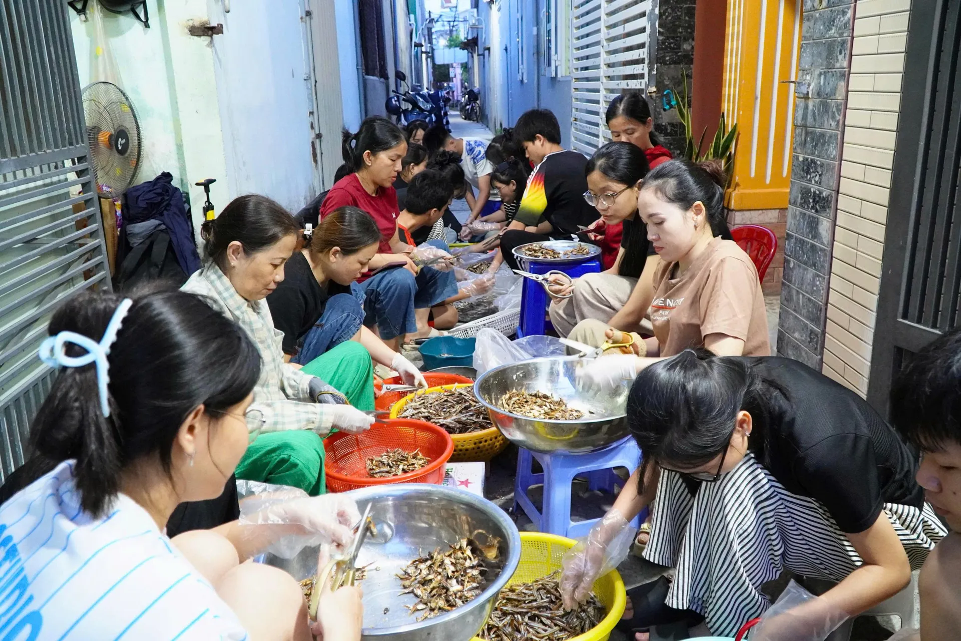 Hình ảnh 1