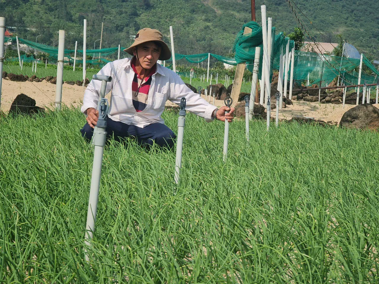 Một động tác đơn giản, nước được tưới đều khắp đồng