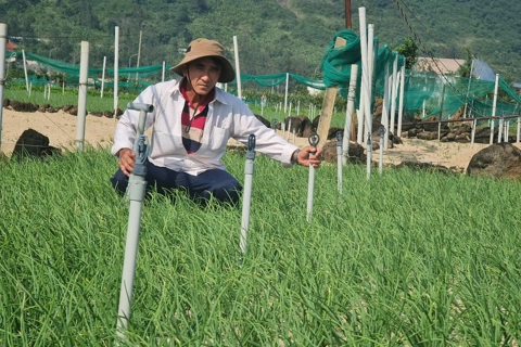 Một động tác đơn giản, nước được tưới đều khắp đồng
