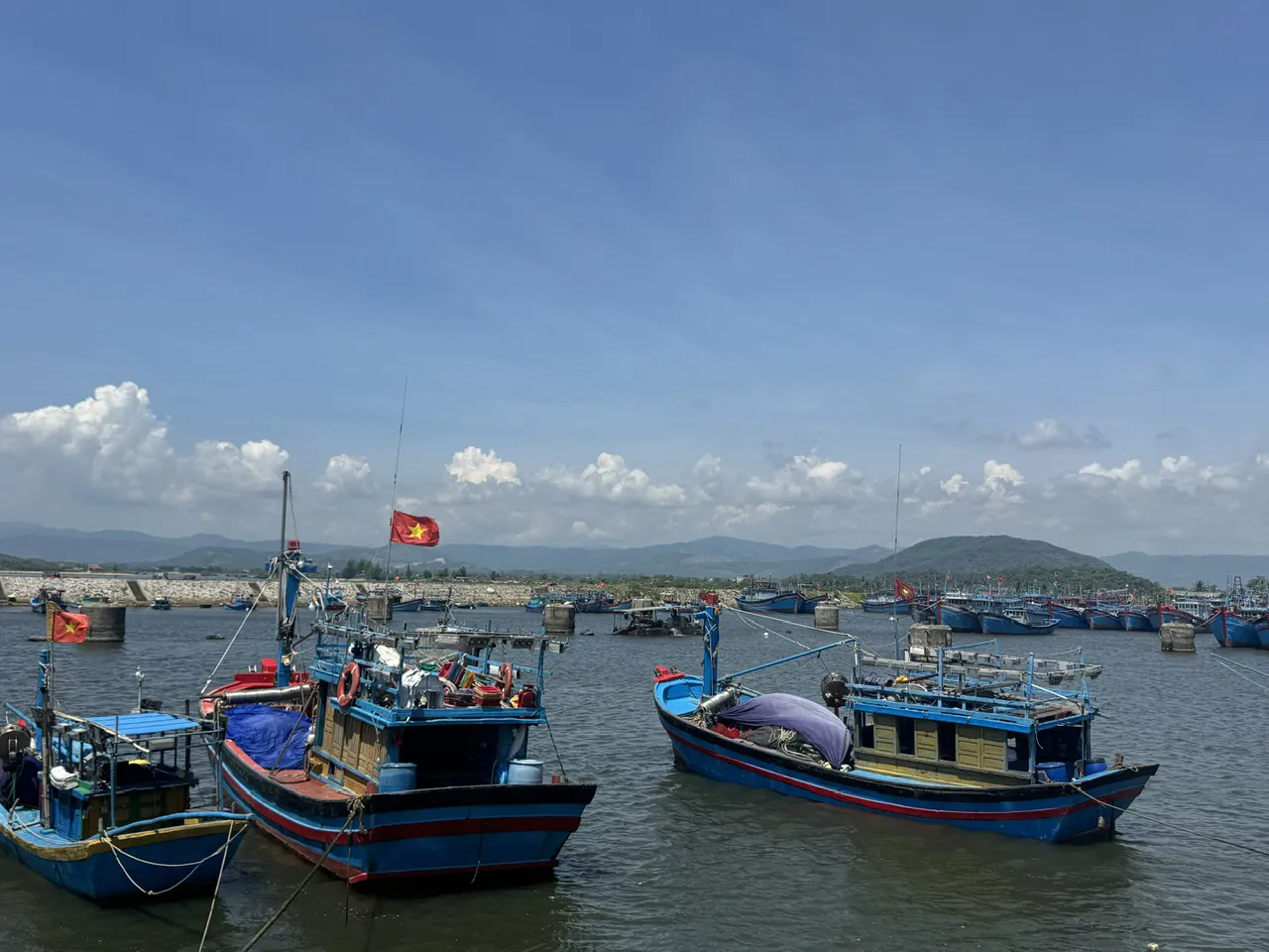 Hình ảnh 1