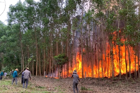 Quảng Ngãi thực hiện “6 rõ” trong phòng, chống cháy rừng
