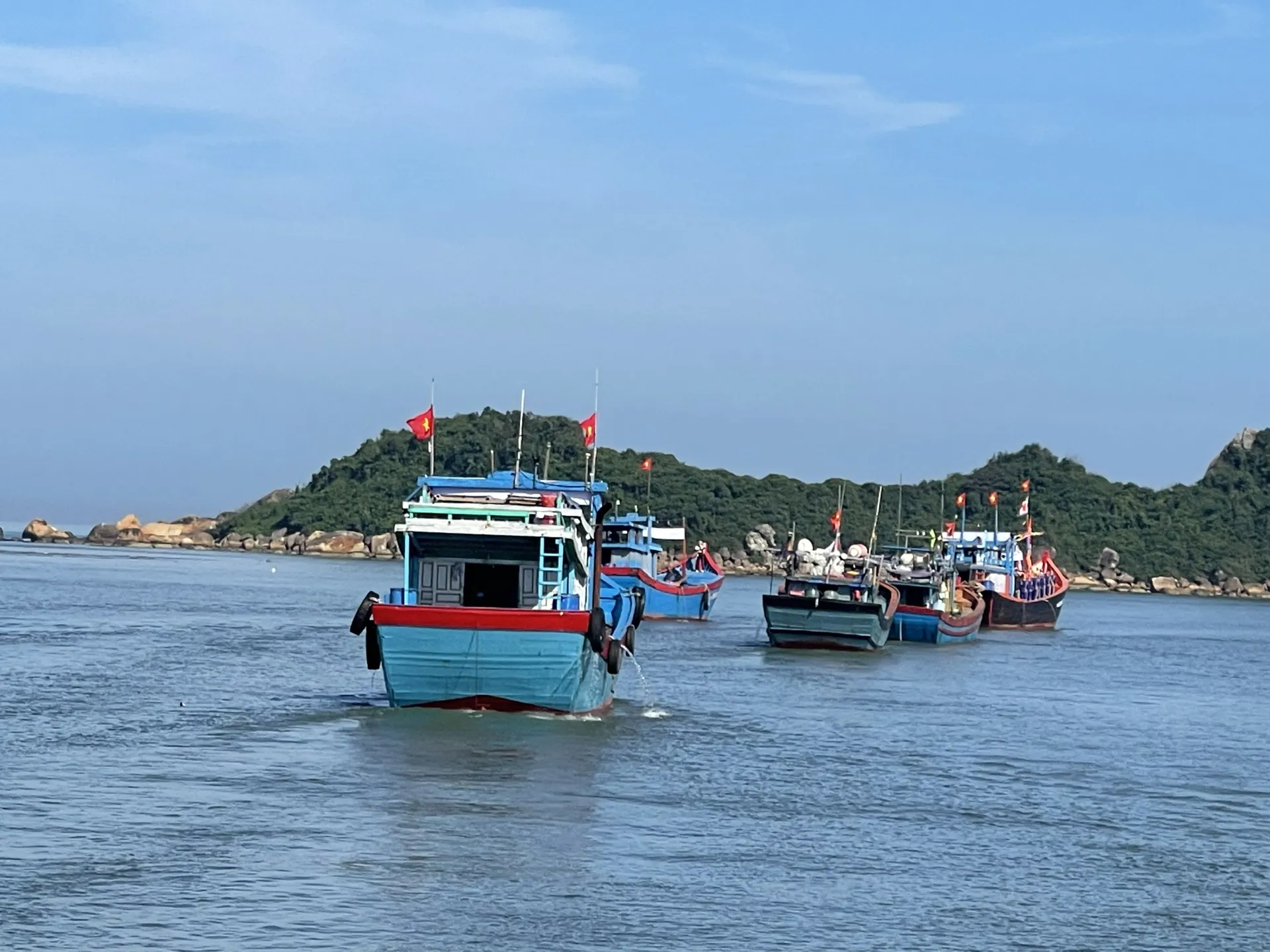 Gỡ “thẻ vàng” IUU: Quảng Ngãi hành động vì nghề cá bền vững