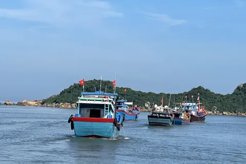 Gỡ “thẻ vàng” IUU: Quảng Ngãi hành động vì nghề cá bền vững