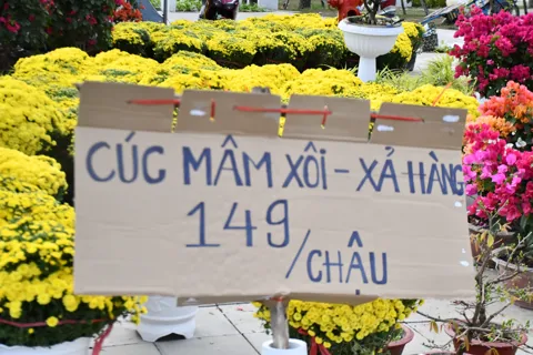 Thị trường hoa Tết ảm đạm, tiểu thương đồng loạt treo bảng giảm giá, xả hàng