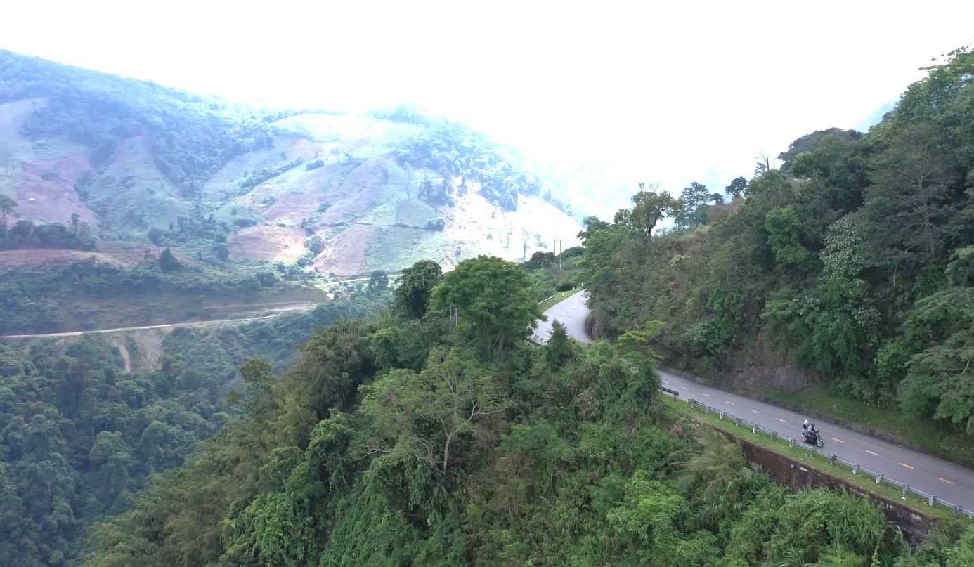 Hình ảnh 1
