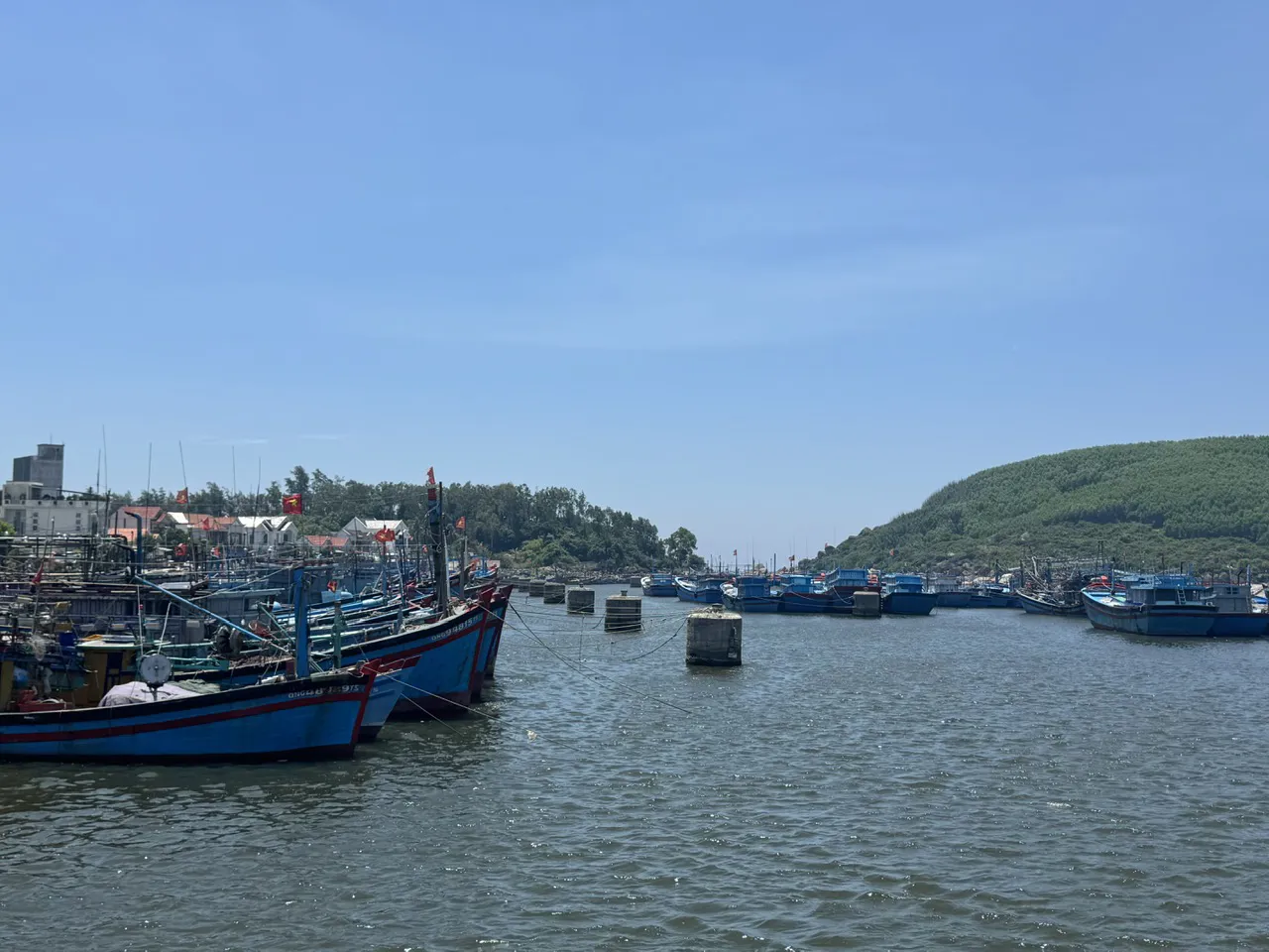 Hình ảnh 3