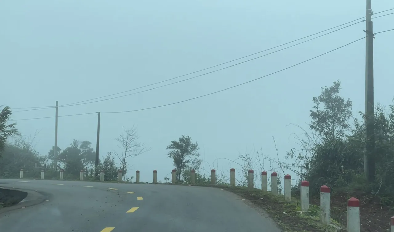 Hình ảnh 1