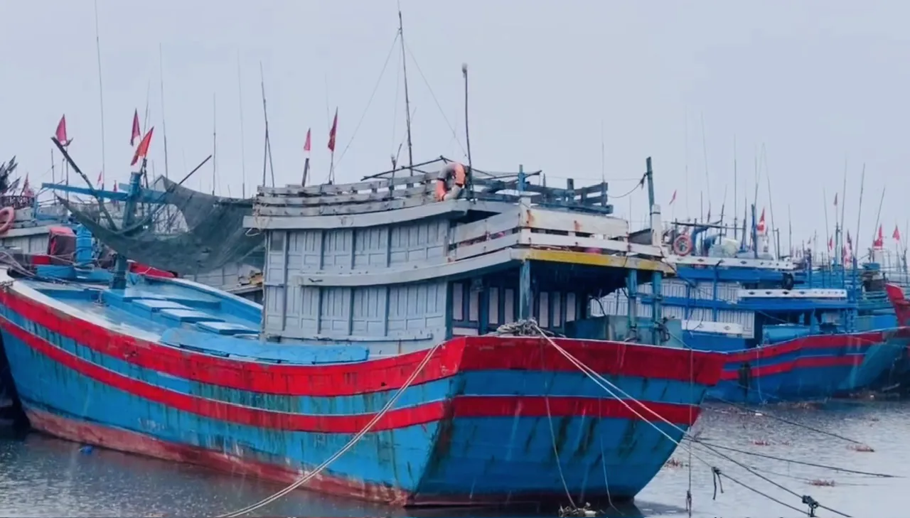 Hình ảnh 3