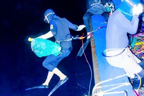 Xóm mưu sinh dưới đáy đại dương