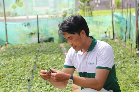 Tài nguyên bản địa - Chìa khóa cho sinh kế bền vững