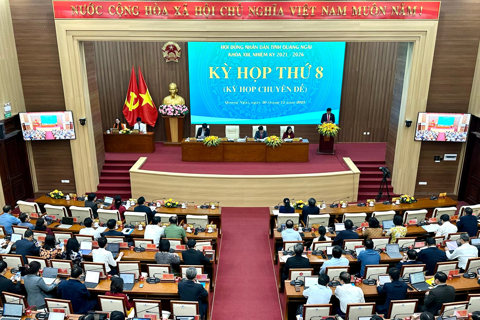 Quảng Ngãi ban hành chính sách hỗ trợ chuyển đổi nghề, giải bản tàu cá