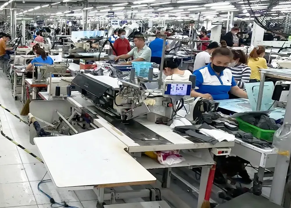 Quảng Ngãi: doanh nghiệp, đơn vị nợ hàng trăm tỷ đồng tiền bảo hiểm